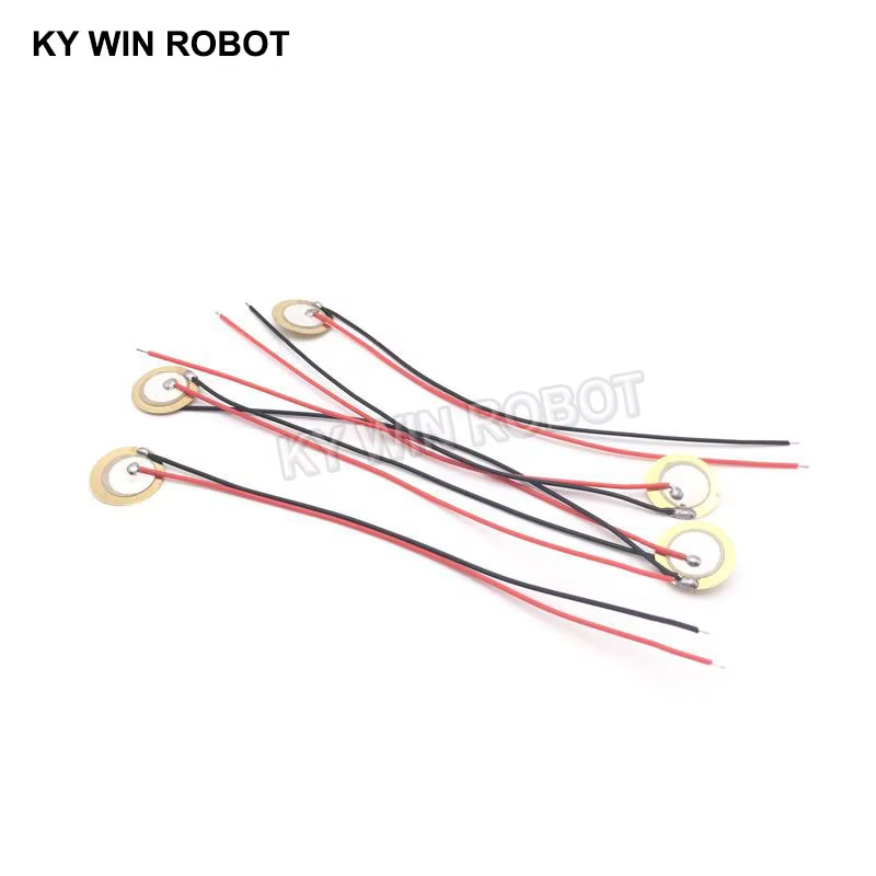 10 قطع من الرقائق السيراميكية  - مراجعة Diy With Electronics وسعره